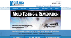 Desktop Screenshot of montanabasementsolutions.com